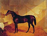 Mr Johnstone's Charles XII in a Stable by John Frederick Herring Snr